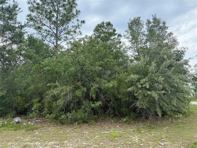 TBA SW 138th Ln, Ocala, FL 34473 - photo 1