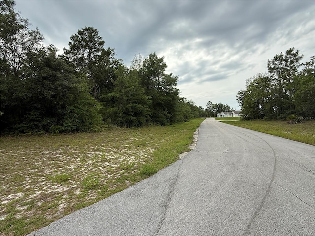 TBA SW 138th Ln, Ocala, FL 34473 - photo 4