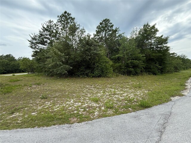 TBA SW 138th Ln, Ocala, FL 34473 - photo 5
