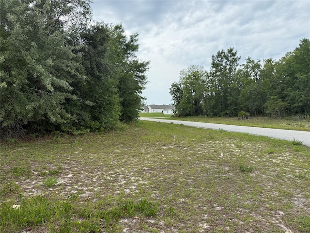 TBA SW 138th Ln, Ocala, FL 34473 - photo 6