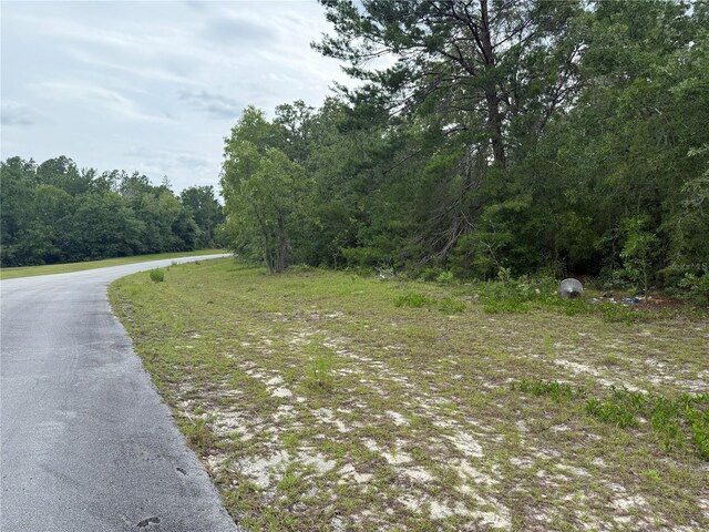 TBA SW 138th Ln, Ocala, FL 34473 - photo 8
