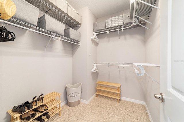 5651 NW 40th Pl, Ocala, FL 34482 - walk in closet with carpet flooring
