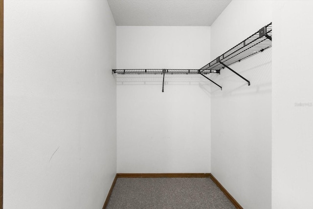 9606 N Caressa Way, Citrus Springs, FL 34434 - walk in closet with carpet floors