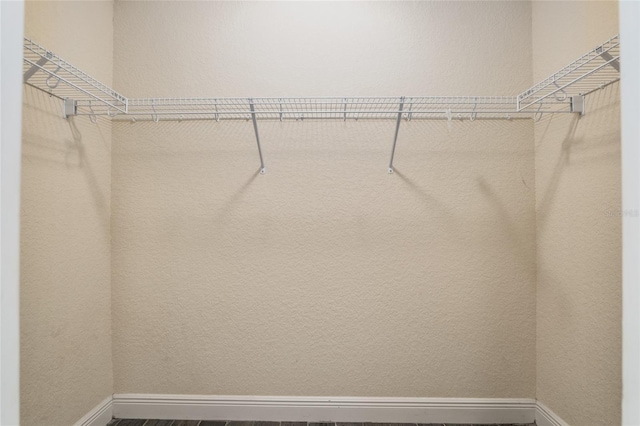 10910 SW 41st Ave, Ocala, FL 34476 - view of spacious closet