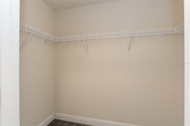 10910 SW 41st Ave, Ocala, FL 34476 - walk in closet with dark wood finished floors