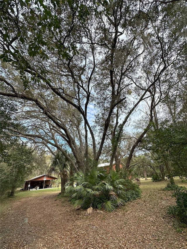596 State Road 20, Palatka, FL 32177 - photo 13