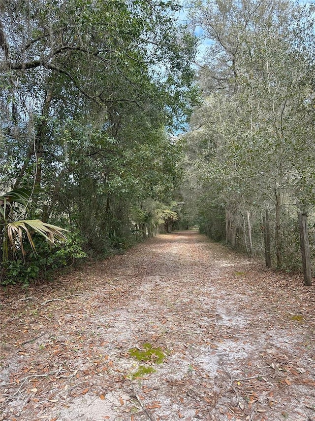 596 State Road 20, Palatka, FL 32177 - photo 12