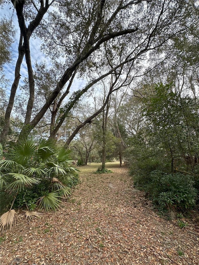 596 State Road 20, Palatka, FL 32177 - photo 14