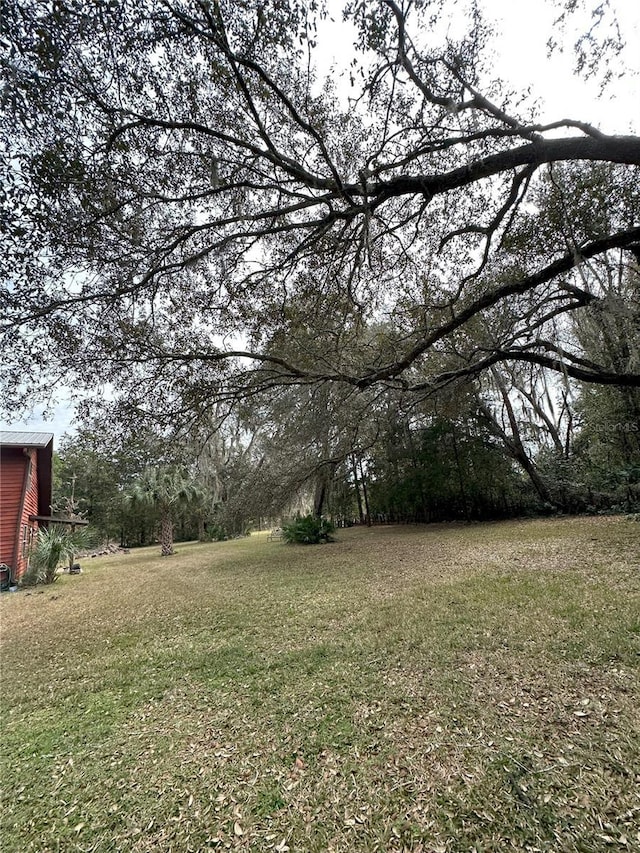 596 State Road 20, Palatka, FL 32177 - photo 15