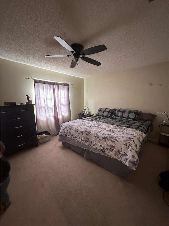 596 State Road 20, Palatka, FL 32177 - photo 21