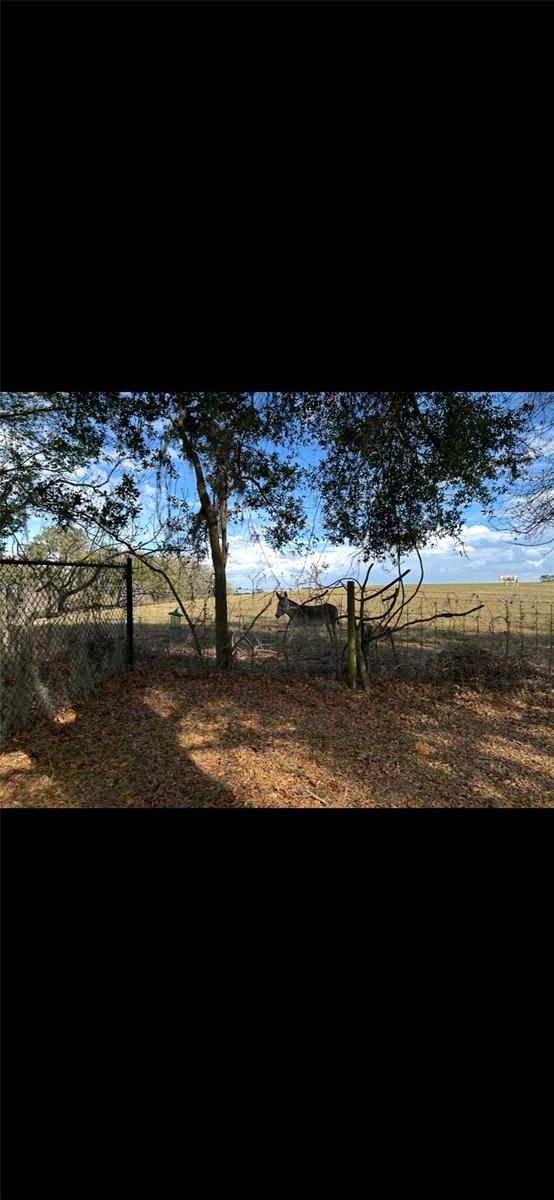 1171 N Foxrun Ter, Inverness, FL 34453 - photo 38