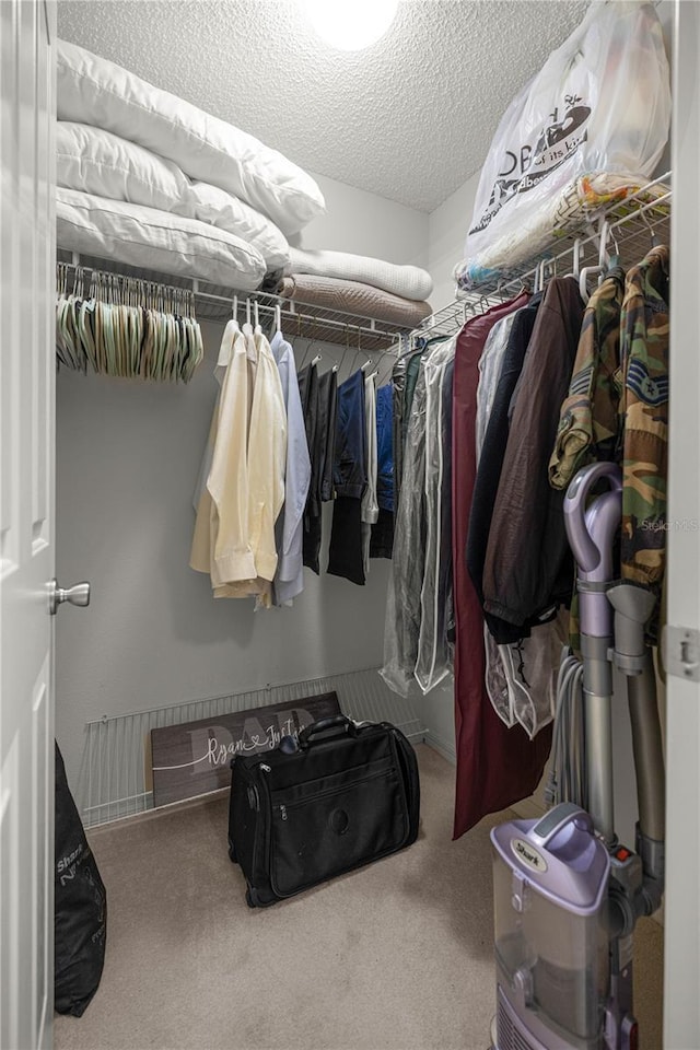 3024 Burbank Ln, The Villages, FL 32162 - walk in closet with carpet