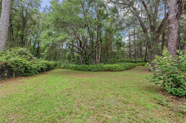 5050 NE 155th Ave, Williston, FL 32696 - photo 48