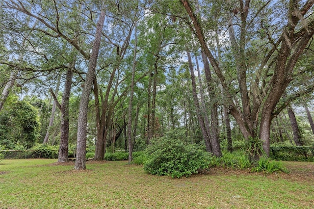 5050 NE 155th Ave, Williston, FL 32696 - photo 49