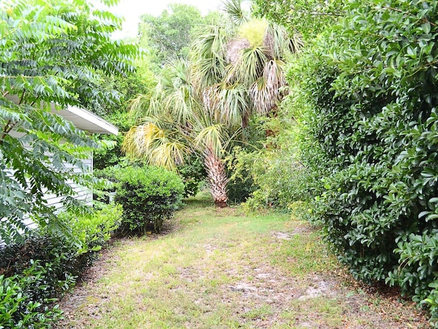 8321 SW 108th Place Rd, Ocala, FL 34481 - view of yard