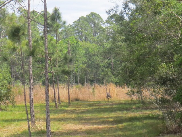 0 SE 10th St, Silver Springs, FL 34488 - photo 5