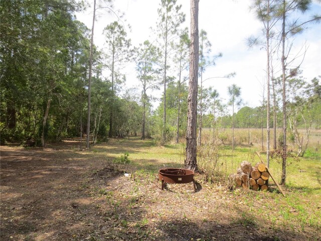 0 SE 10th St, Silver Springs, FL 34488 - photo 6
