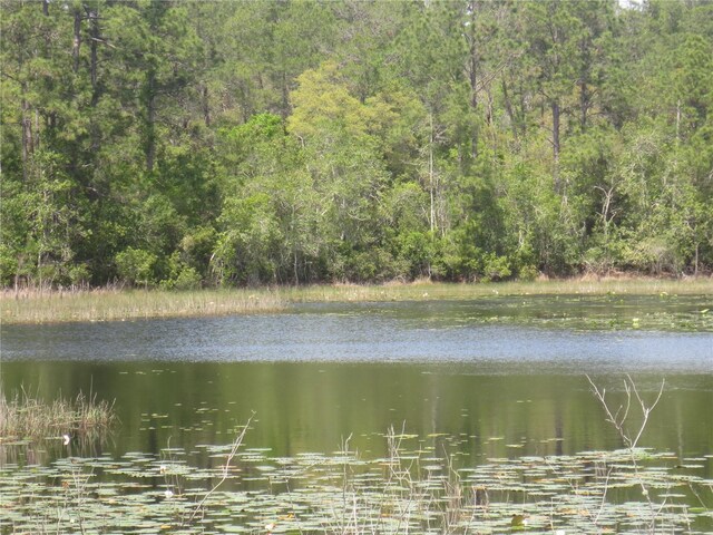 0 SE 10th St, Silver Springs, FL 34488 - photo 8