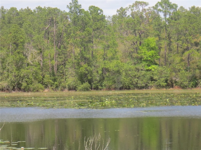 0 SE 10th St, Silver Springs, FL 34488 - photo 9