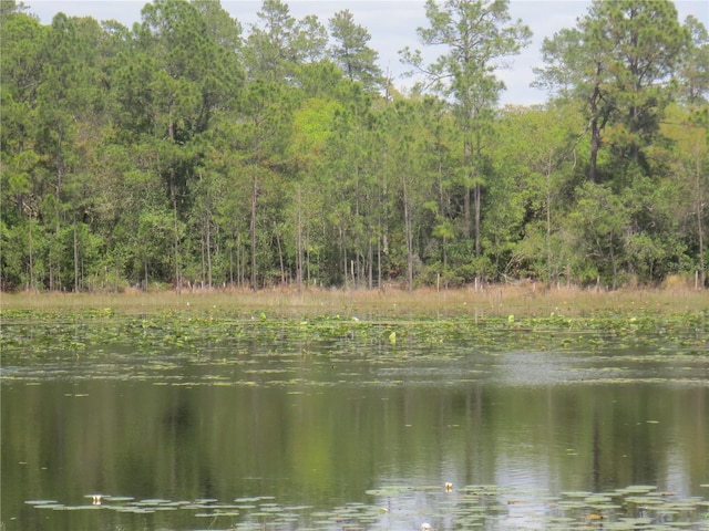 0 SE 10th St, Silver Springs, FL 34488 - photo 10