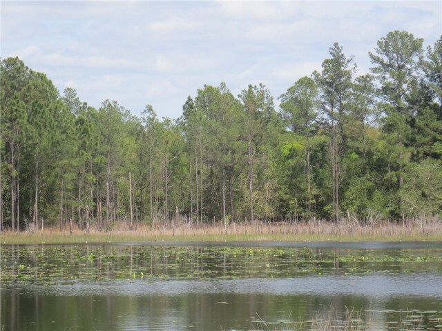 0 SE 10th St, Silver Springs, FL 34488 - photo 11