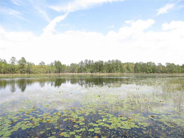 0 SE 10th St, Silver Springs, FL 34488 - photo 12