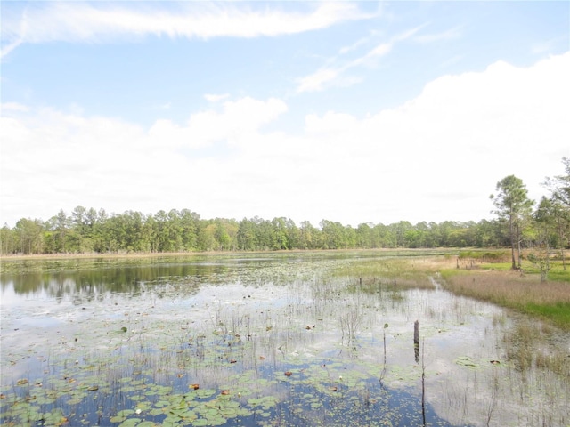 0 SE 10th St, Silver Springs, FL 34488 - photo 13