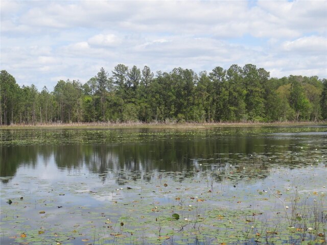 0 SE 10th St, Silver Springs, FL 34488 - photo 14
