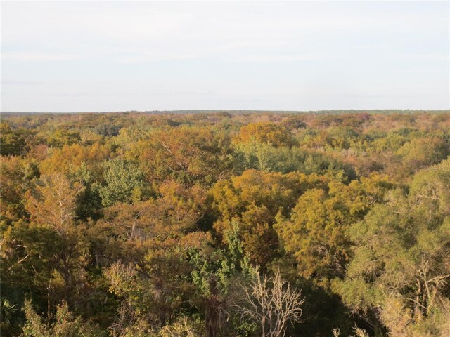 0 SE 10th St, Silver Springs, FL 34488 - photo 29