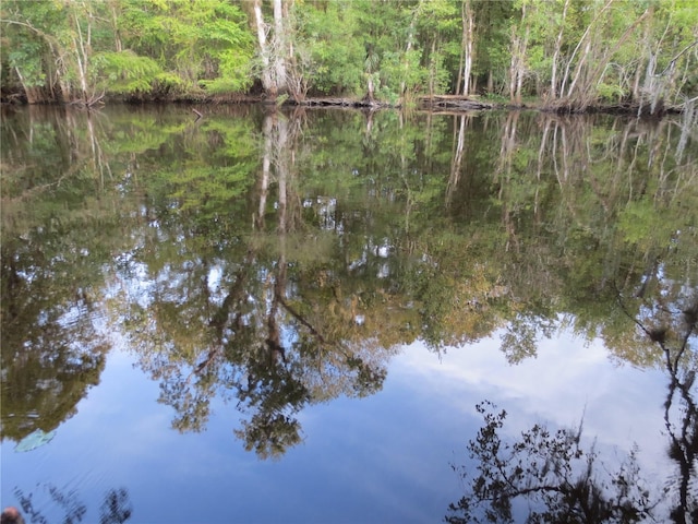0 SE 10th St, Silver Springs, FL 34488 - photo 38