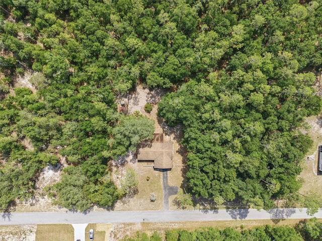 4467 SW Channel Heights Ct, Dunnellon, FL 34431 - bird's eye view