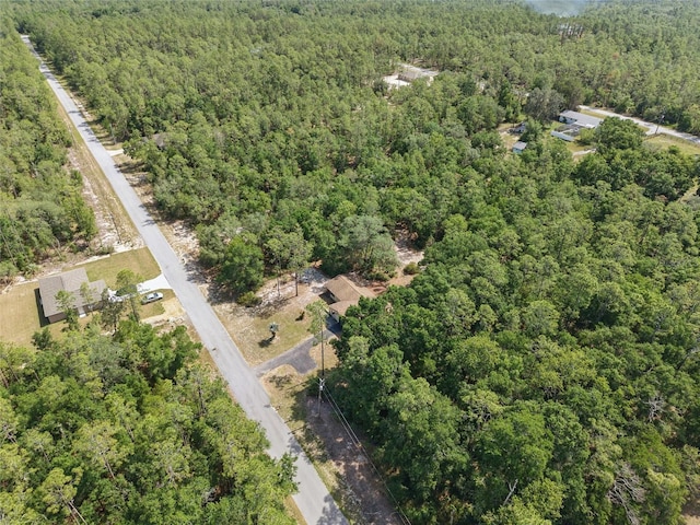 4467 SW Channel Heights Ct, Dunnellon, FL 34431 - aerial overview of property's location with a forest