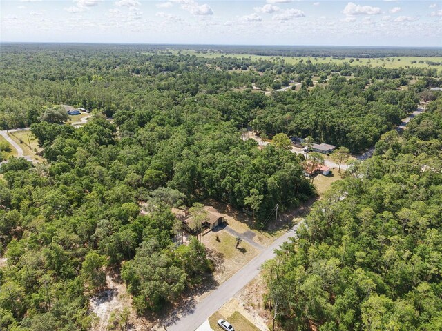 4467 SW Channel Heights Ct, Dunnellon, FL 34431 - bird's eye view of a heavily wooded area