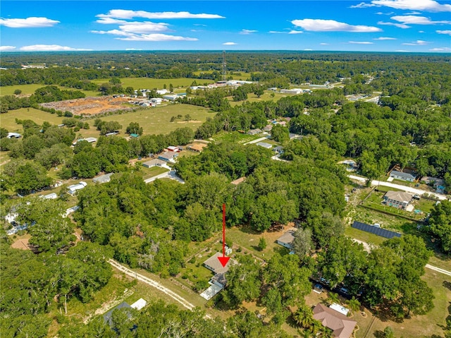 3445 SE 139th Ln, Summerfield, FL 34491 - aerial view of property's location with a forest