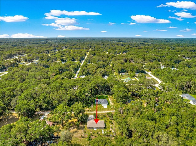 3445 SE 139th Ln, Summerfield, FL 34491 - bird's eye view of a forest