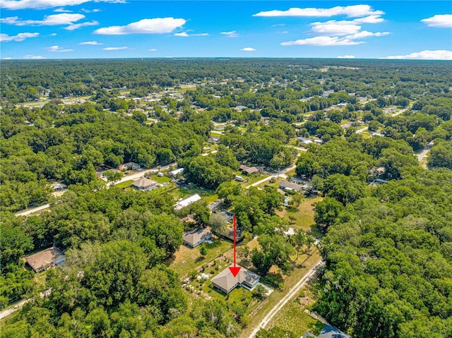3445 SE 139th Ln, Summerfield, FL 34491 - bird's eye view of a forest