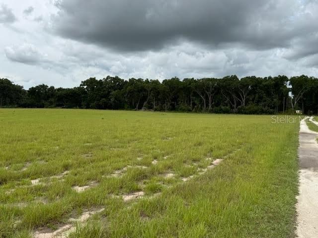Ne 141, Citra, FL 32113