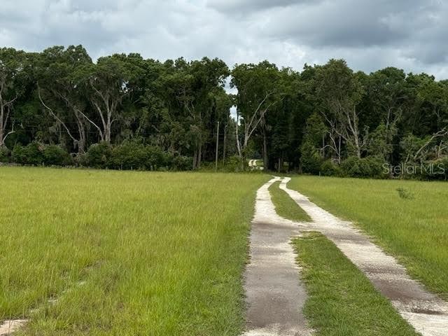 Ne 141, Citra, FL 32113