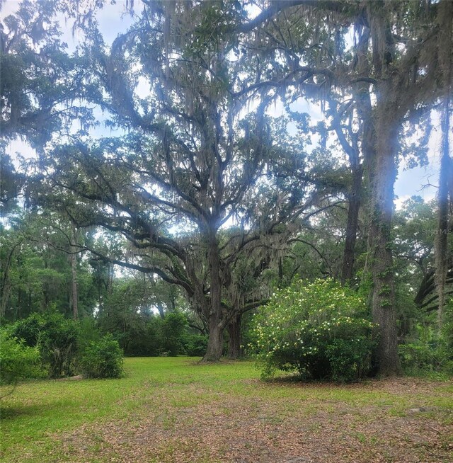 15016 NW 32nd Ave, Newberry, FL 32669 - photo 14