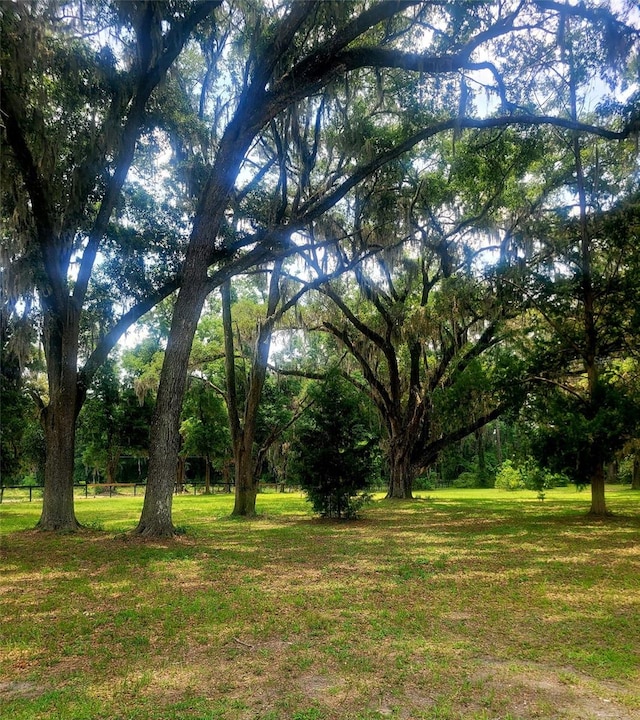 15016 NW 32nd Ave, Newberry, FL 32669 - photo 15