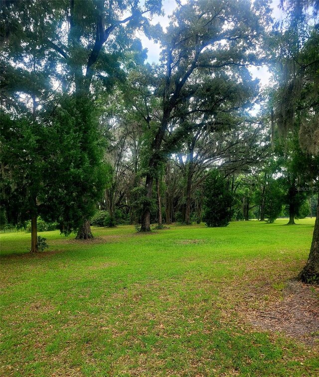 15016 NW 32nd Ave, Newberry, FL 32669 - photo 16