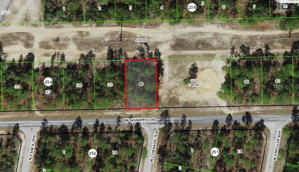 2905 W Sharpes Dr, Citrus Springs, FL 34433