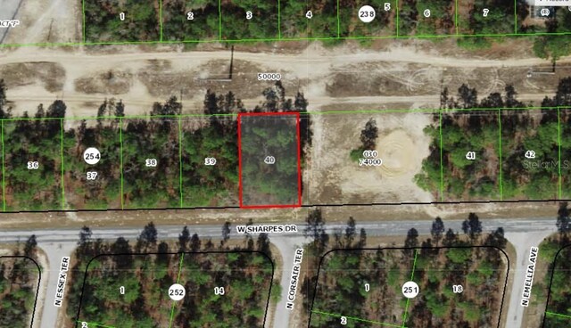 2905 W Sharpes Dr, Citrus Springs, FL 34433