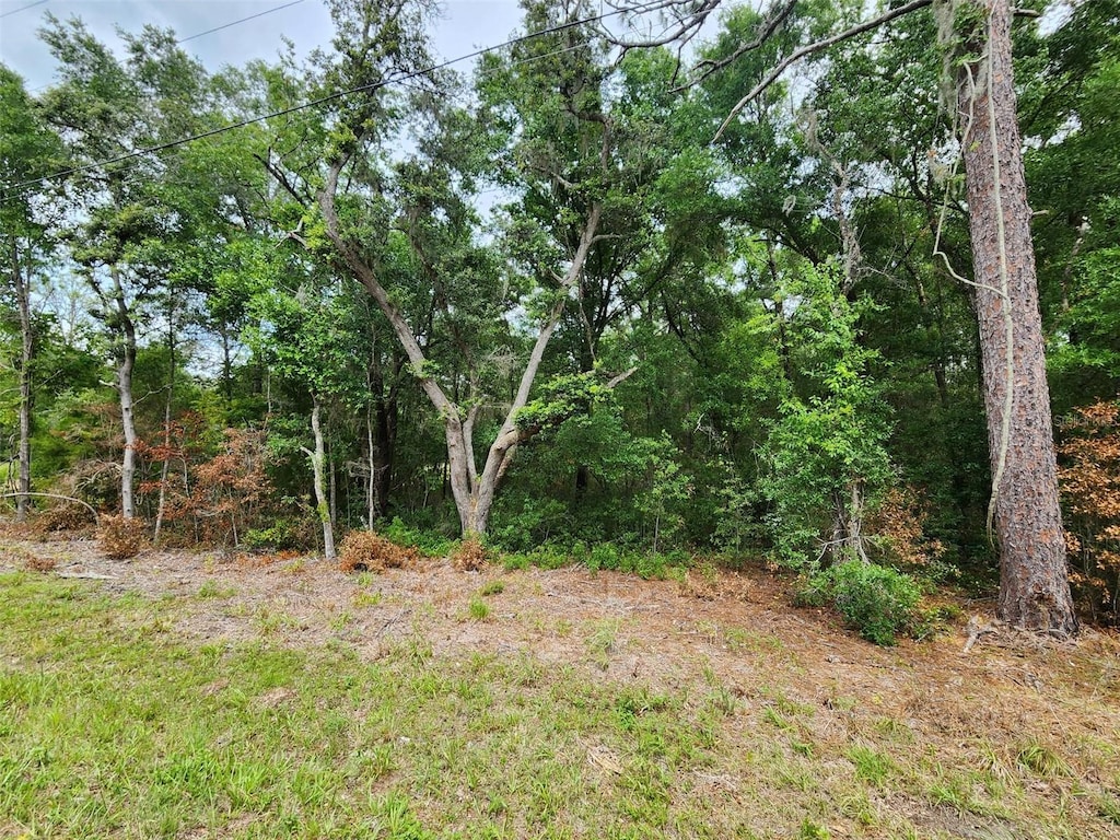 SW 199th Ct, Dunnellon, FL 34431