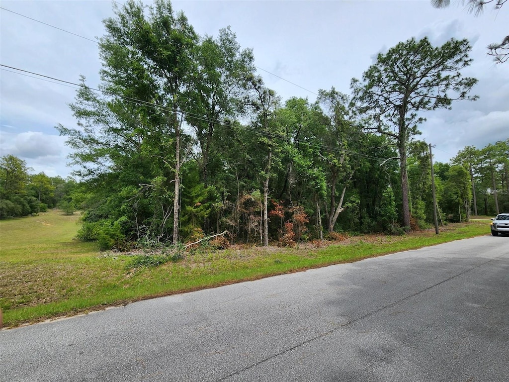 SW 199th Ct, Dunnellon, FL 34431