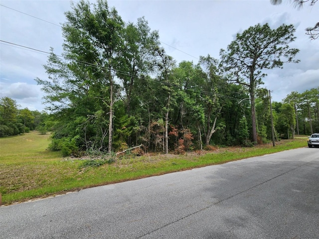 SW 199th Ct, Dunnellon, FL 34431