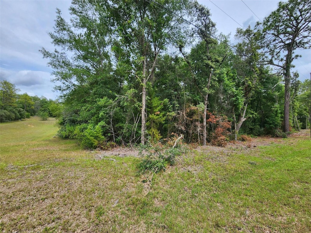 SW 199th Ct, Dunnellon, FL 34431