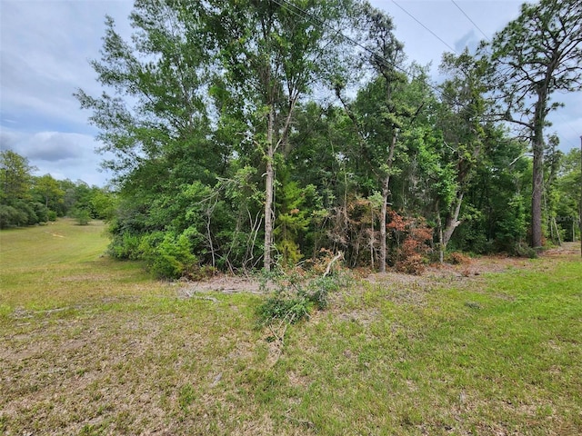 SW 199th Ct, Dunnellon, FL 34431