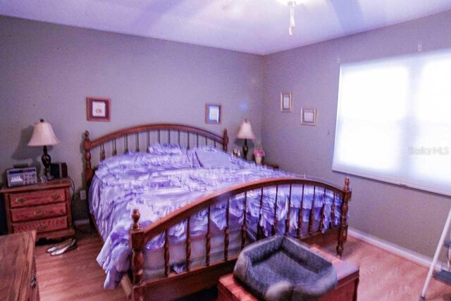 6190 SW 84th Pl, Ocala, FL 34476 - bedroom featuring wood finished floors, baseboards, and a ceiling fan