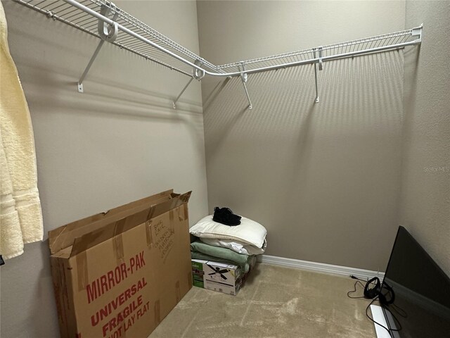 5255 NW 33rd Pl, Ocala, FL 34482 - spacious closet with carpet